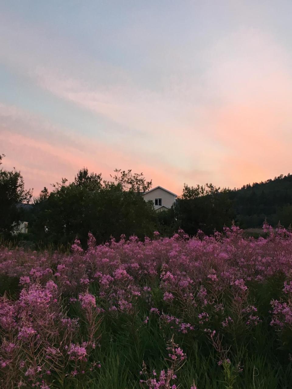 La Chouette Viree Bed and Breakfast Grandes-Bergeronnes Buitenkant foto